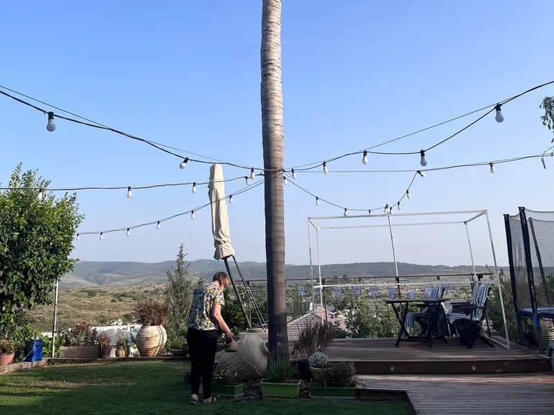 דקל גבוה בגינה פרטית עם תאורת גן