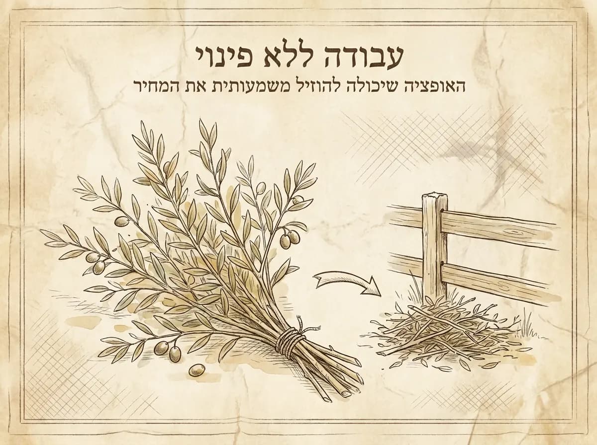 עבודה ללא פינוי: האופציה שיכולה להוזיל משמעותית את המחיר
