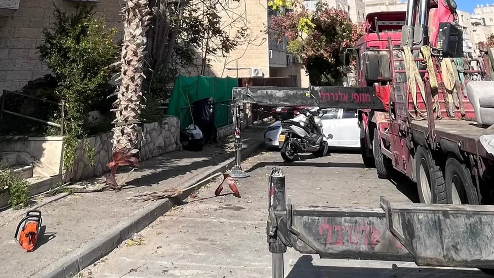 מנוף ומשאית בעבודת עצים – נגישות לשטח היא מרכיב מרכזי במחיר העבודה